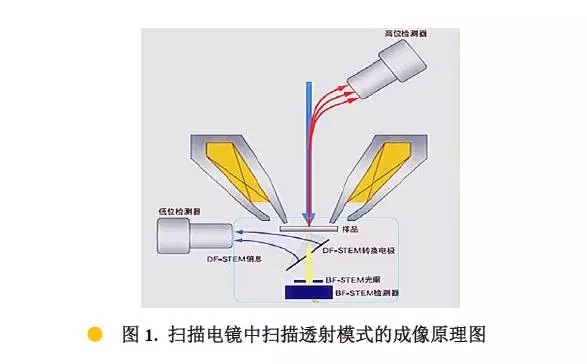 威海扫描电镜